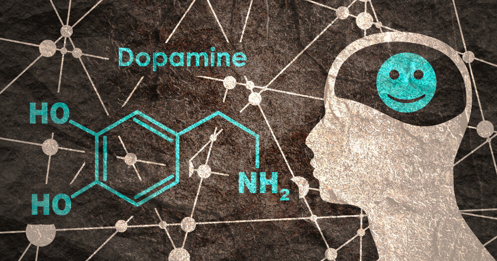 Dopamine Syst Mes Dopaminergiques Synth Se Et R Cepteurs