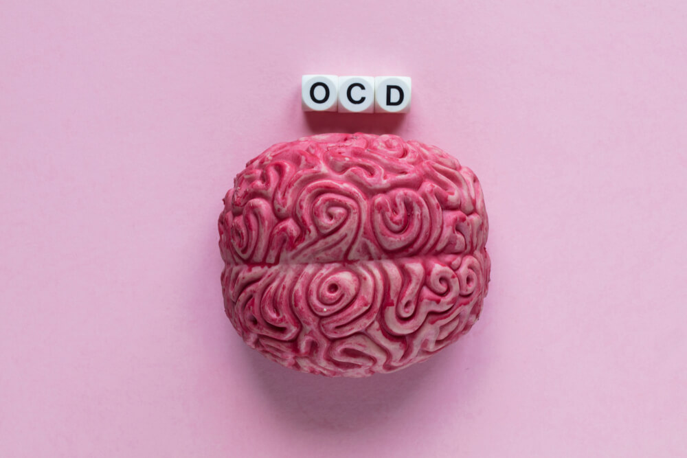 A plastic model of the brain, with the letters OCD above it.