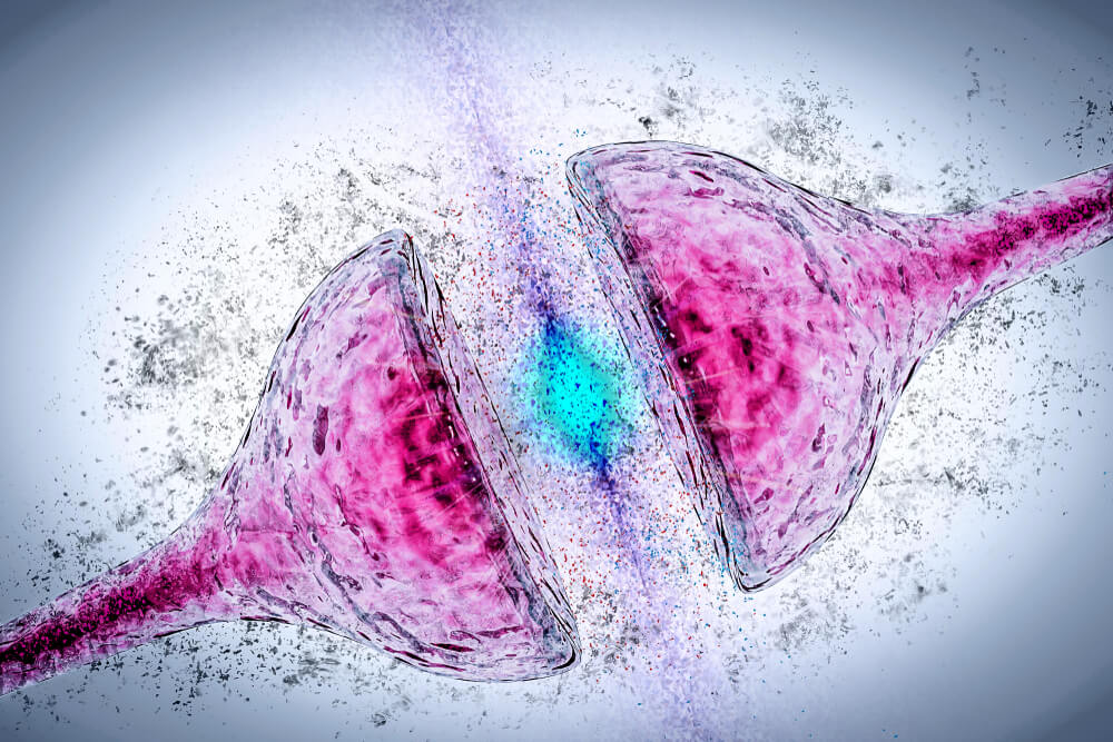 sinapsis neuronal neurona escitalopram