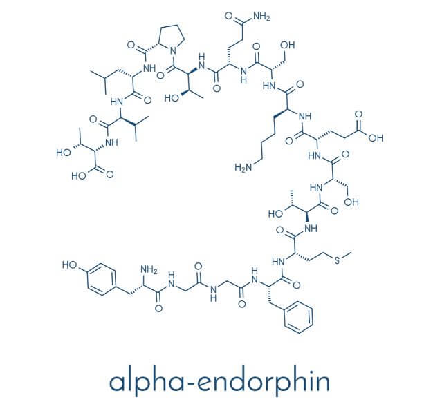 alfa-endorfina endorfinas