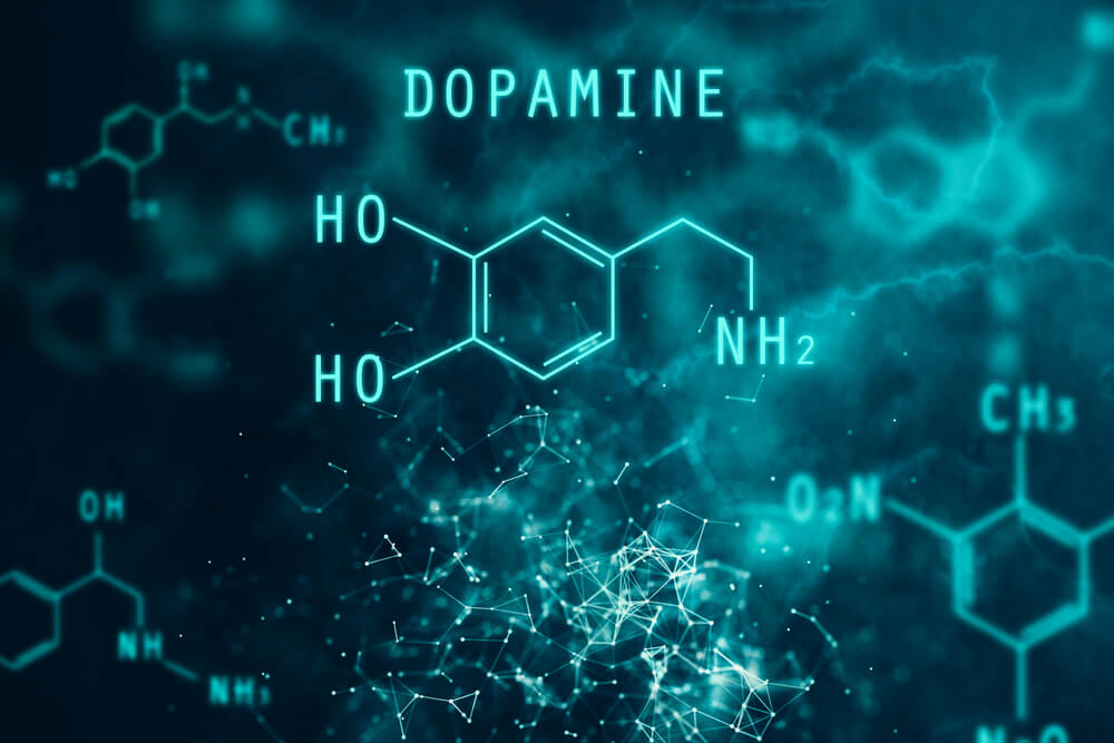dopamina neurotransmisor fórmula