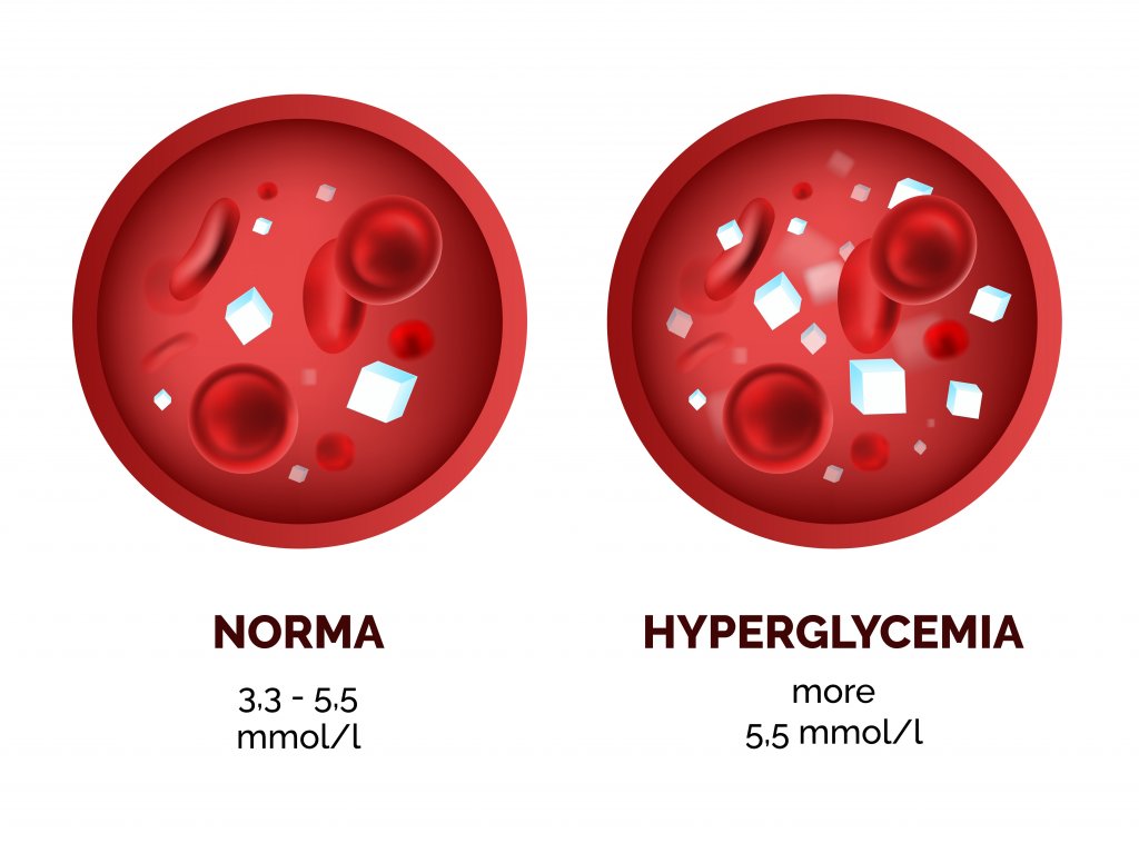 glucosa glucemia sangre eritrocitos diabetes
