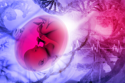 feto avvolto dalla placenta