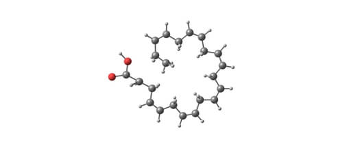 Molécula de ácido graxo DHA