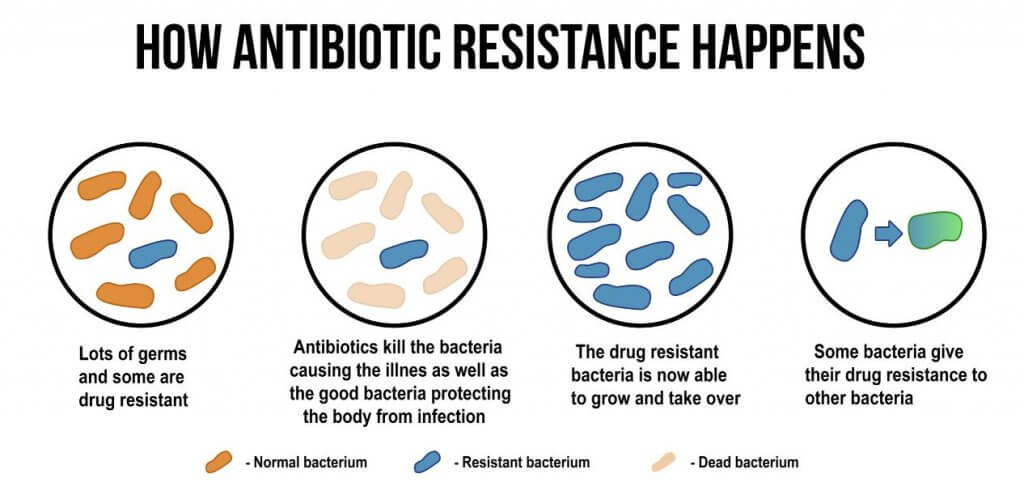 Antibiotic resistance.
