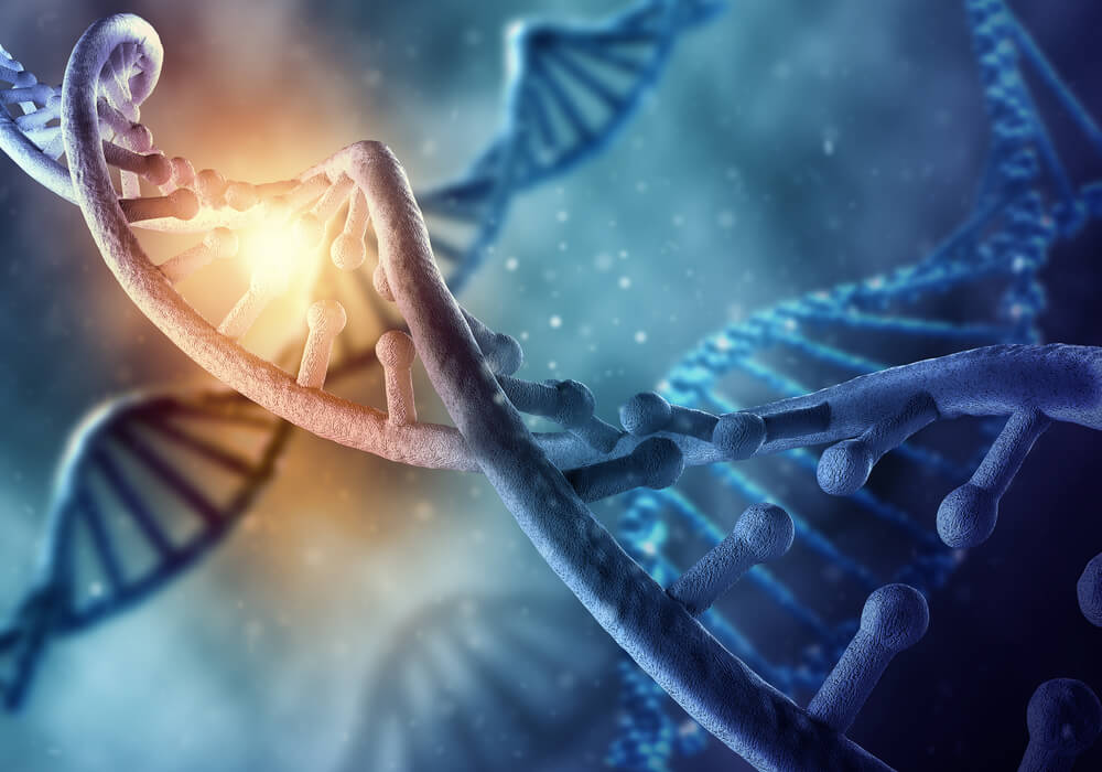 Materiale genetico del DNA
