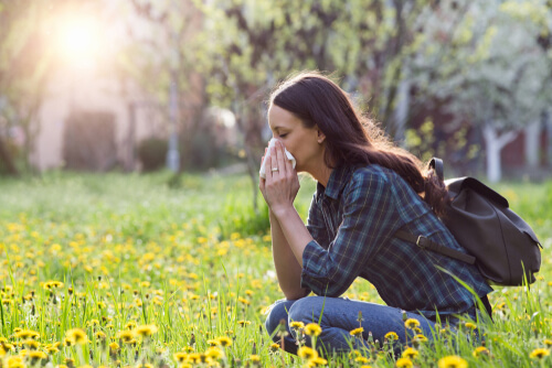 Alergia o hipersensibilidad: ¡todo lo que debes saber!