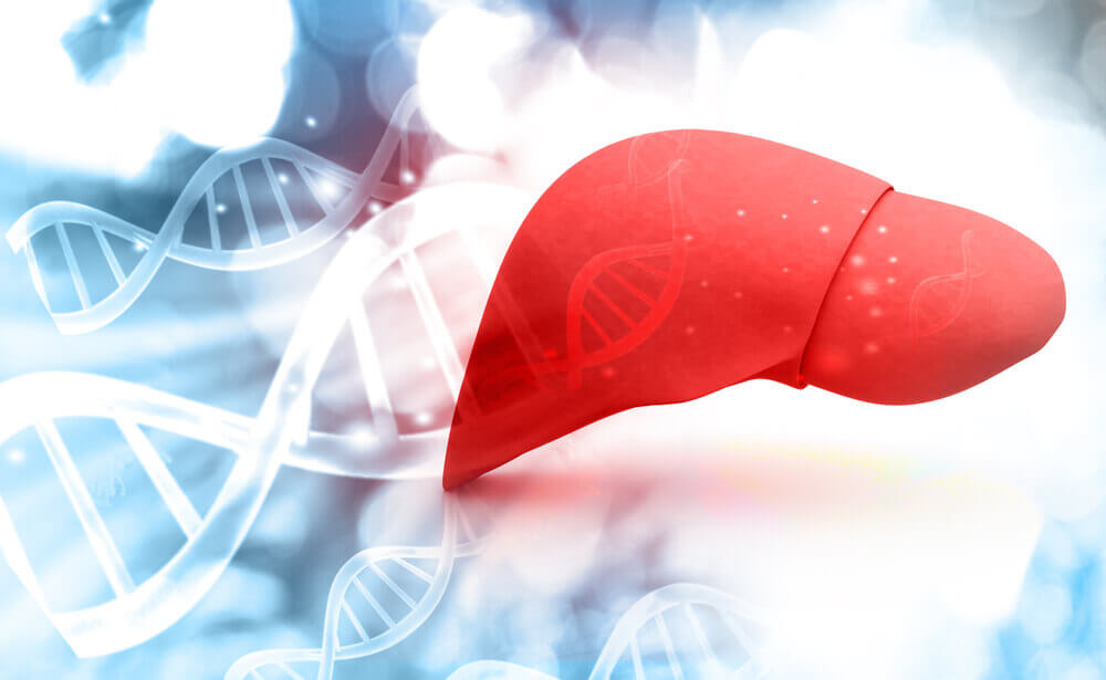 Hígado, metabolismo hepático