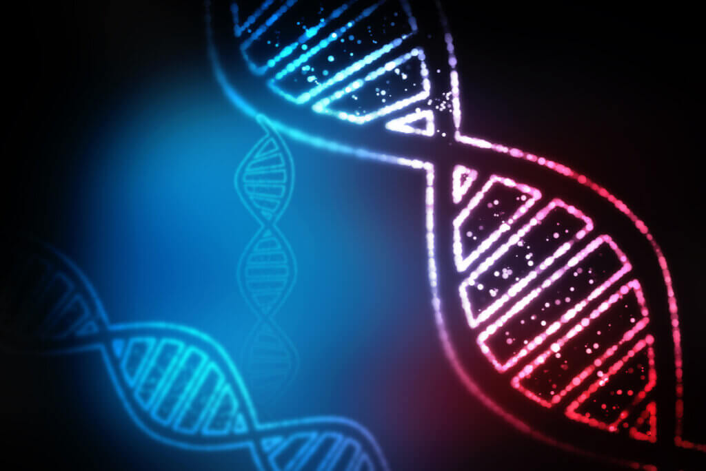 Doppia elica del DNA.