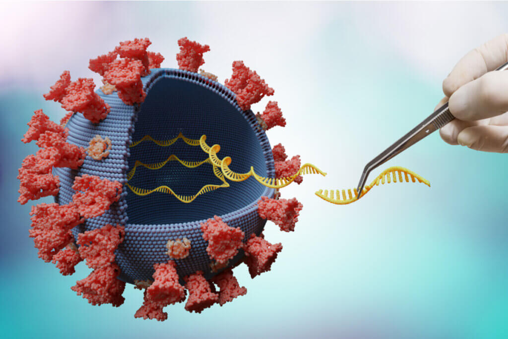 Processo de tradução genética.