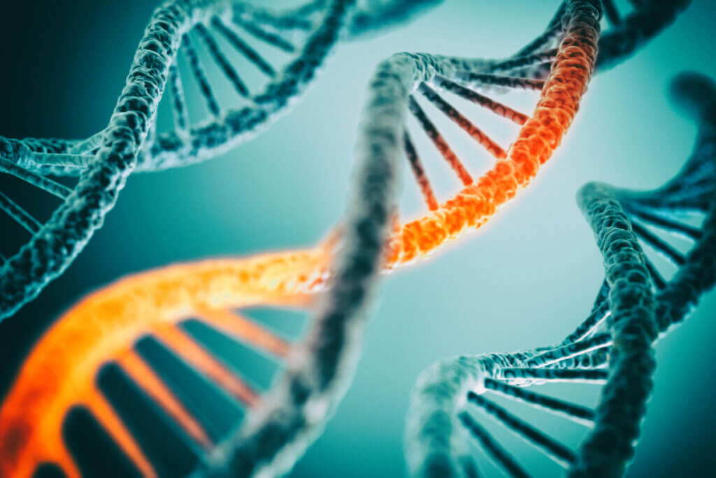 ADN y mutaciones para el cáncer de piel.