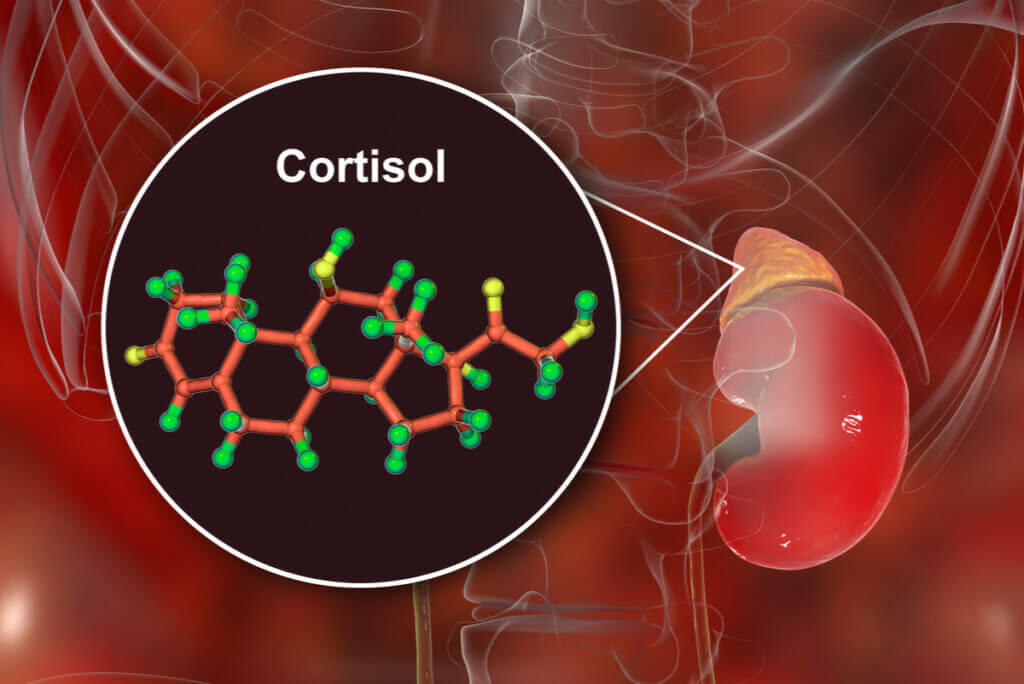 Hormona cortisol causa enrojecimiento facial.