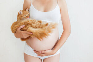 Toxoplasmosis: síntomas, causas y tratamiento