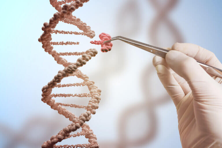 Bases de la genética: todo lo que necesitas saber