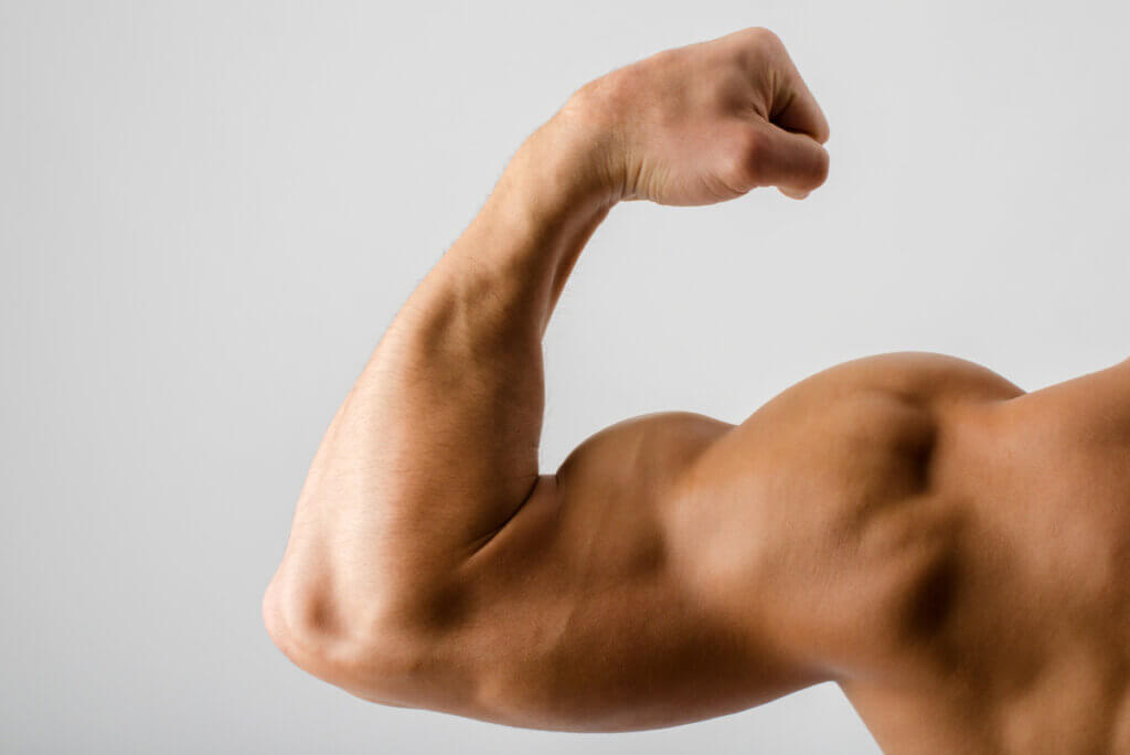 Protéines de haute valeur biologique pour les muscles.