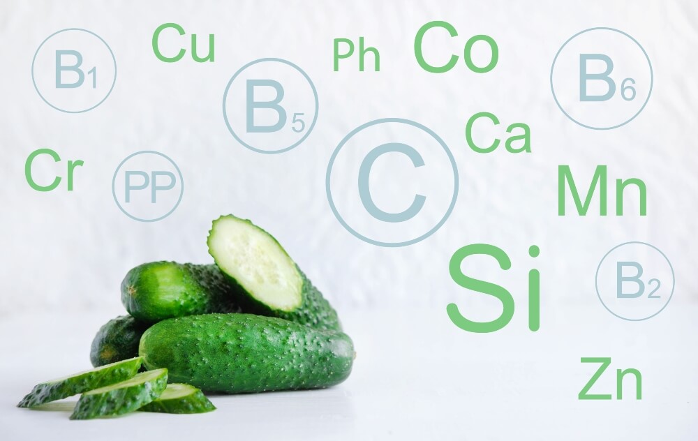 El pepino es un alimento que contiene varios minerales.
