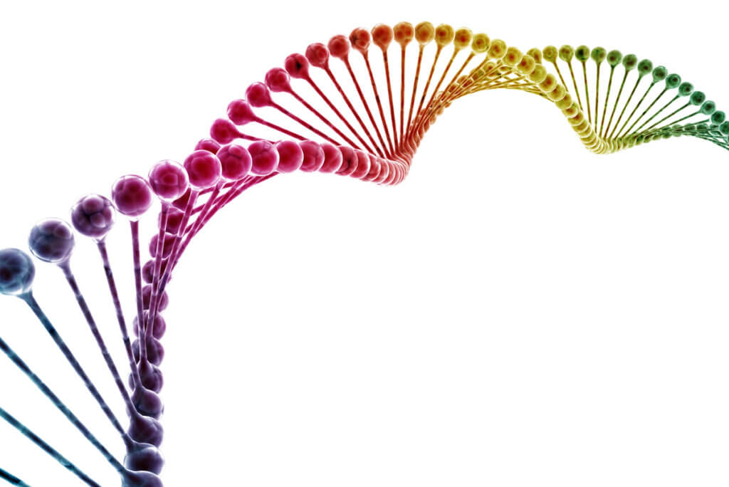 ADN estudiado en epigenética.
