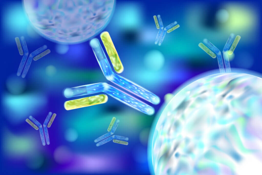 Anticuerpos en microscopio.