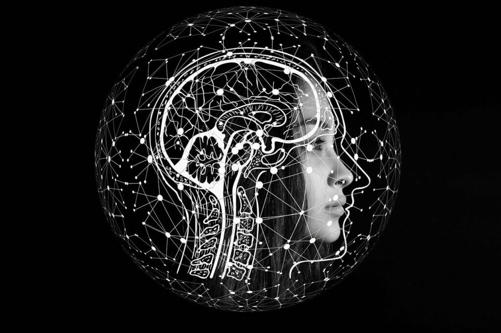 Cerebro está compuesto por mucha agua.