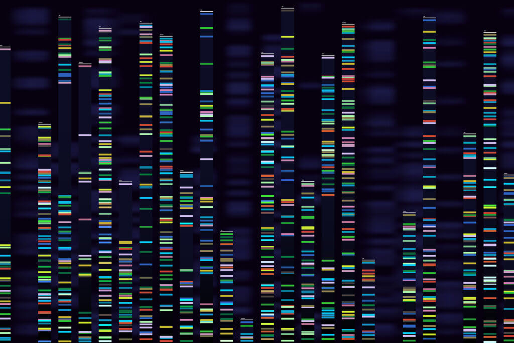Codones del código genético.