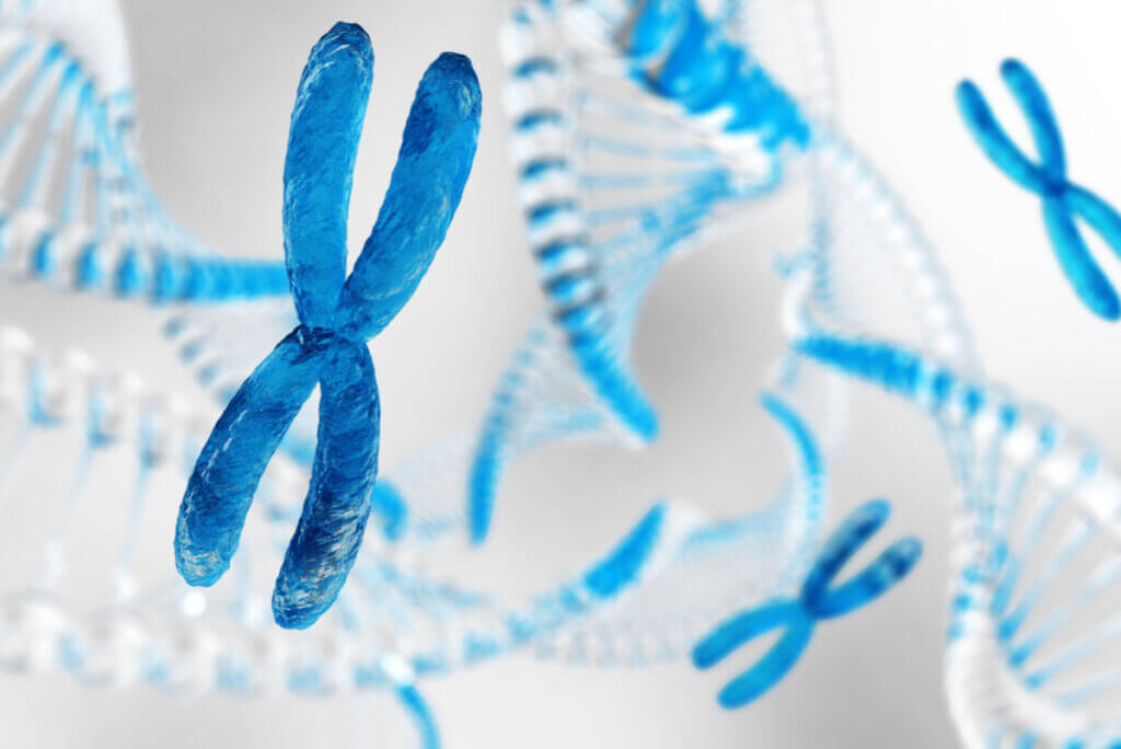 Chromosomes with genetic problems.