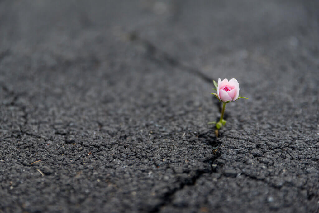 ¿Qué es la resiliencia y cómo fortalecerla?