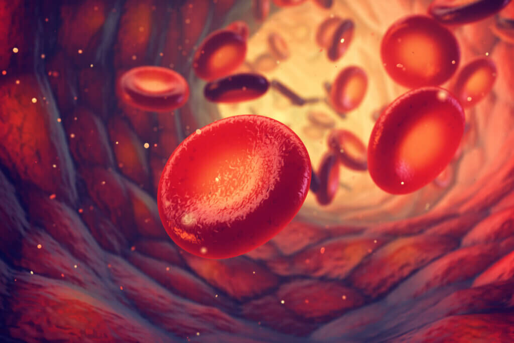 Glóbulos rojos en la sangre circulante.