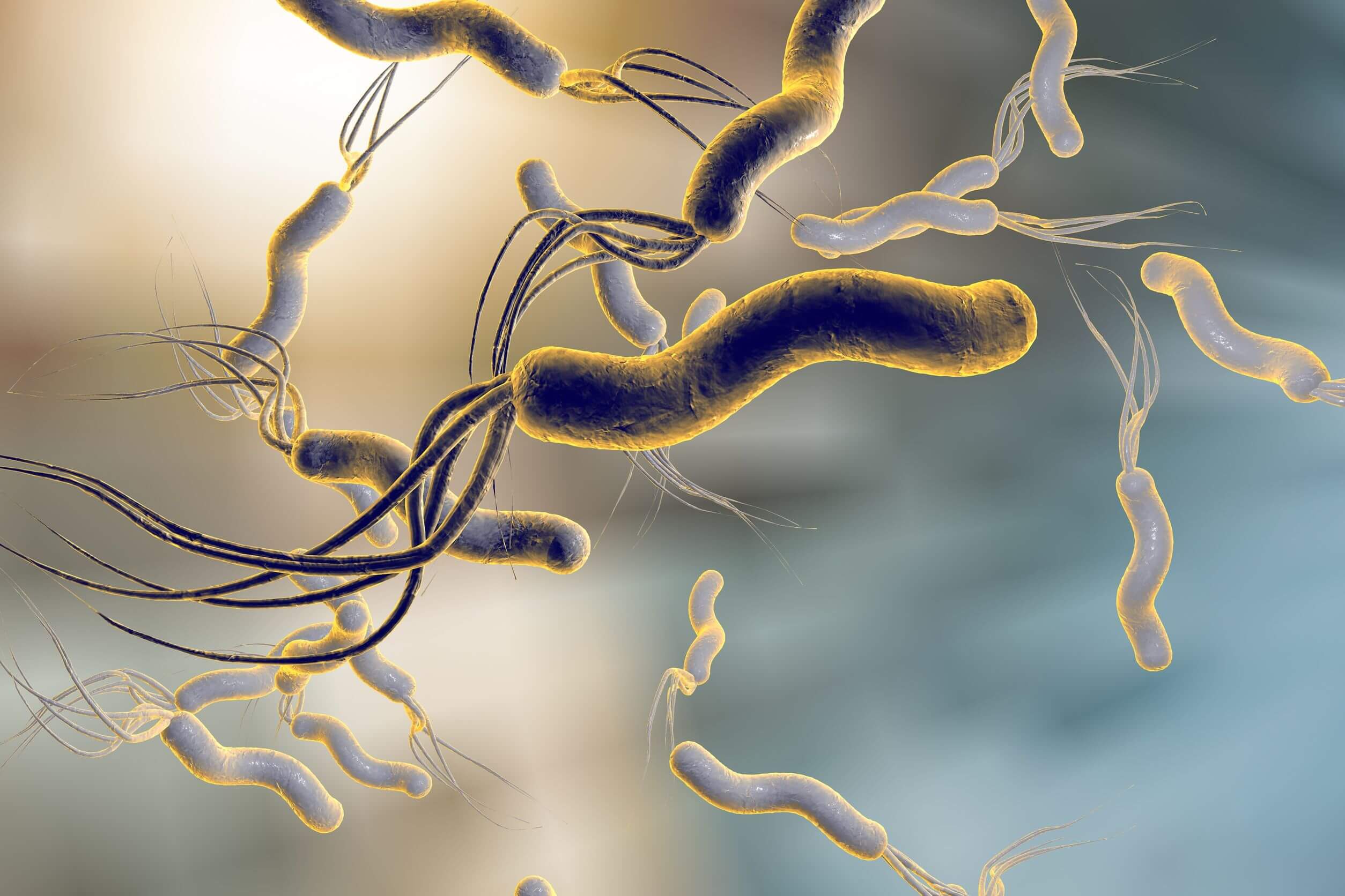 Las infecciones bacterianas pueden ocasionar epigastralgia.