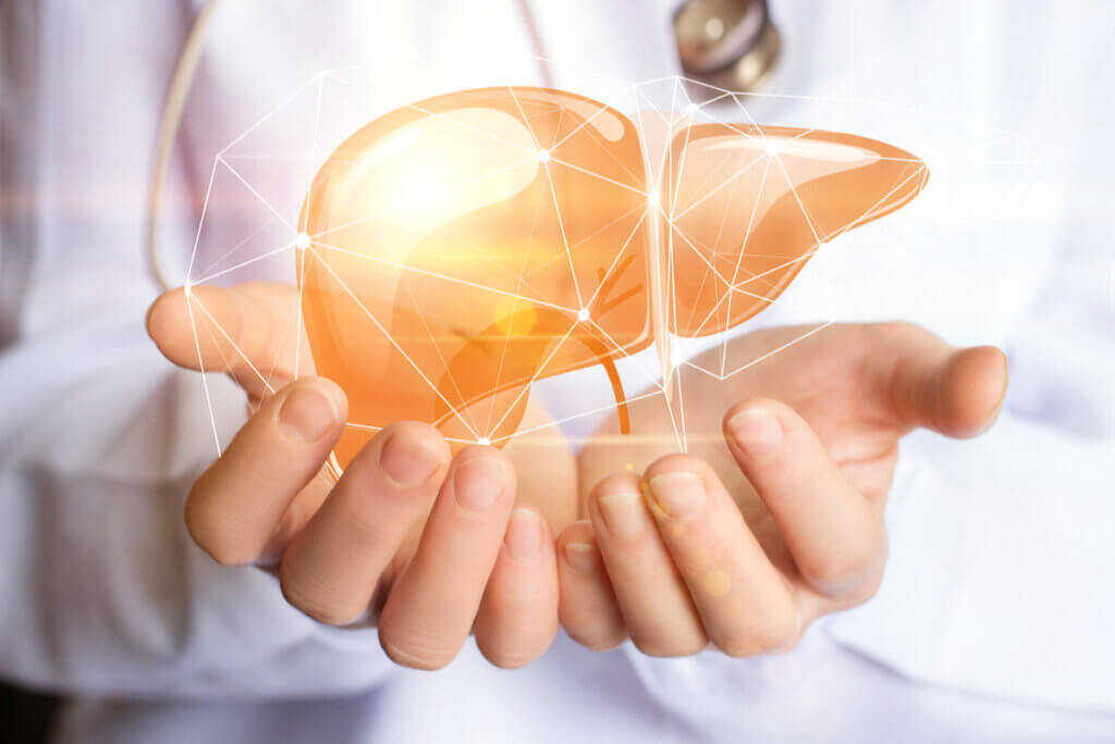 Hepatocitos: ¿qué son y qué funciones tienen?