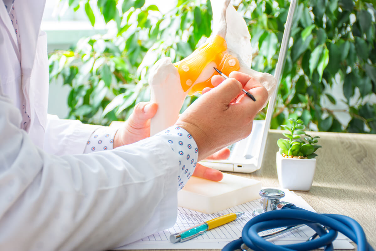Médico examina hueso con osteoporosis.