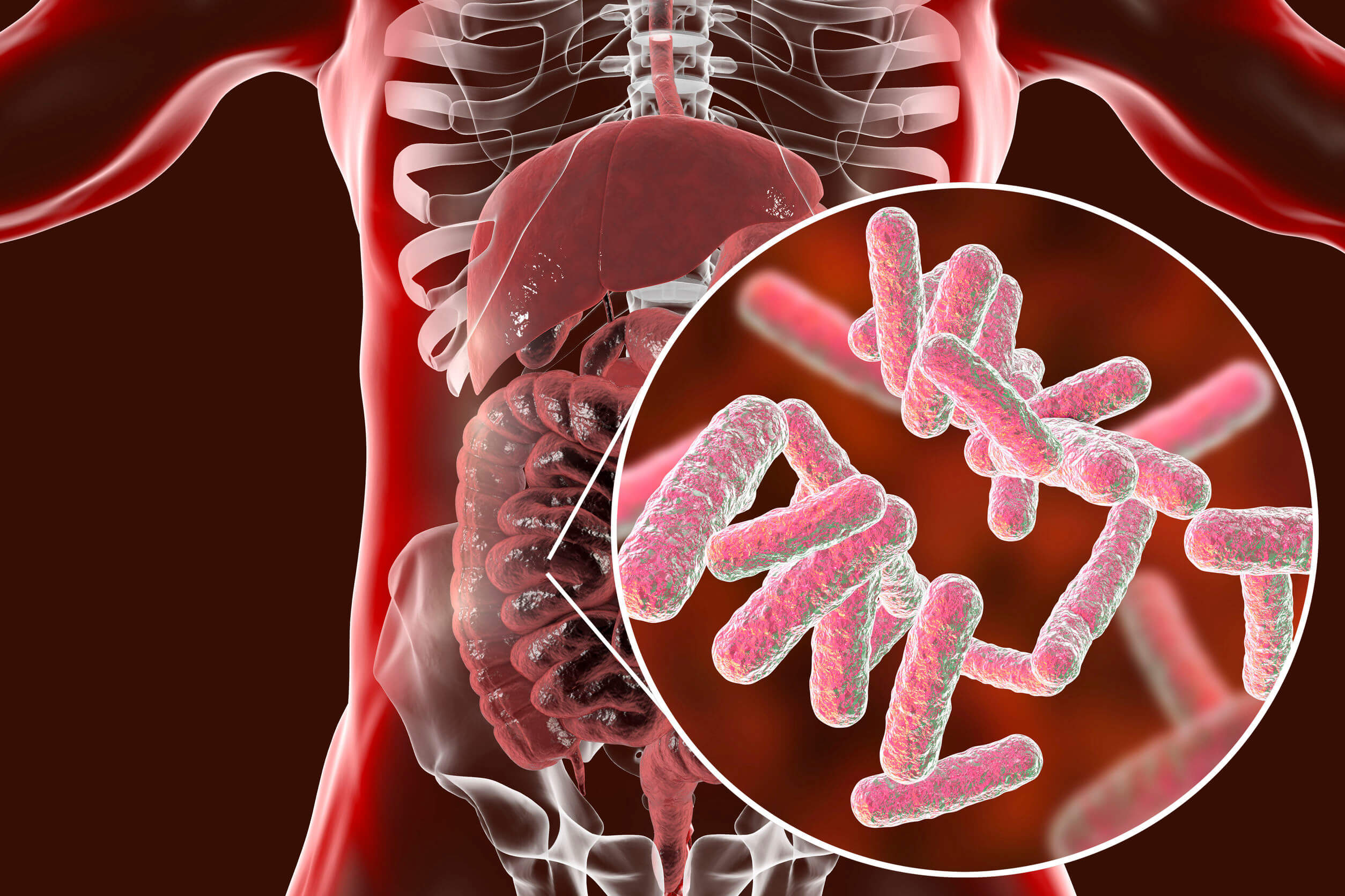 La vitamina b8 (biotina) puede ser producida por las bacterias que viven en el tracto digestivo.