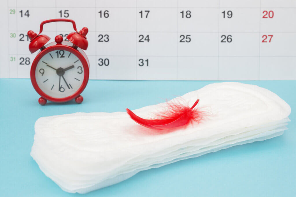 Concepto de menstruación y ritmos hormonales.
