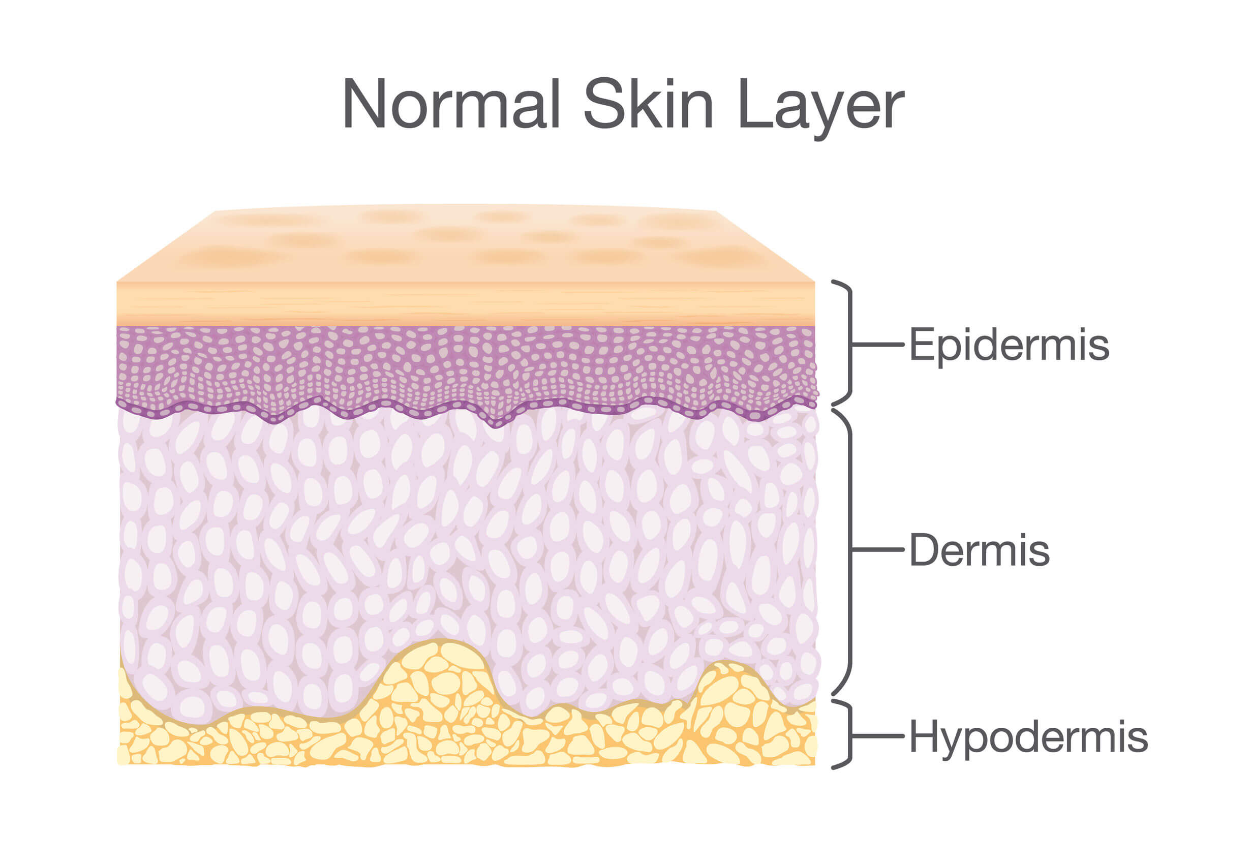 Les effets du temps sur la peau sont complexes.