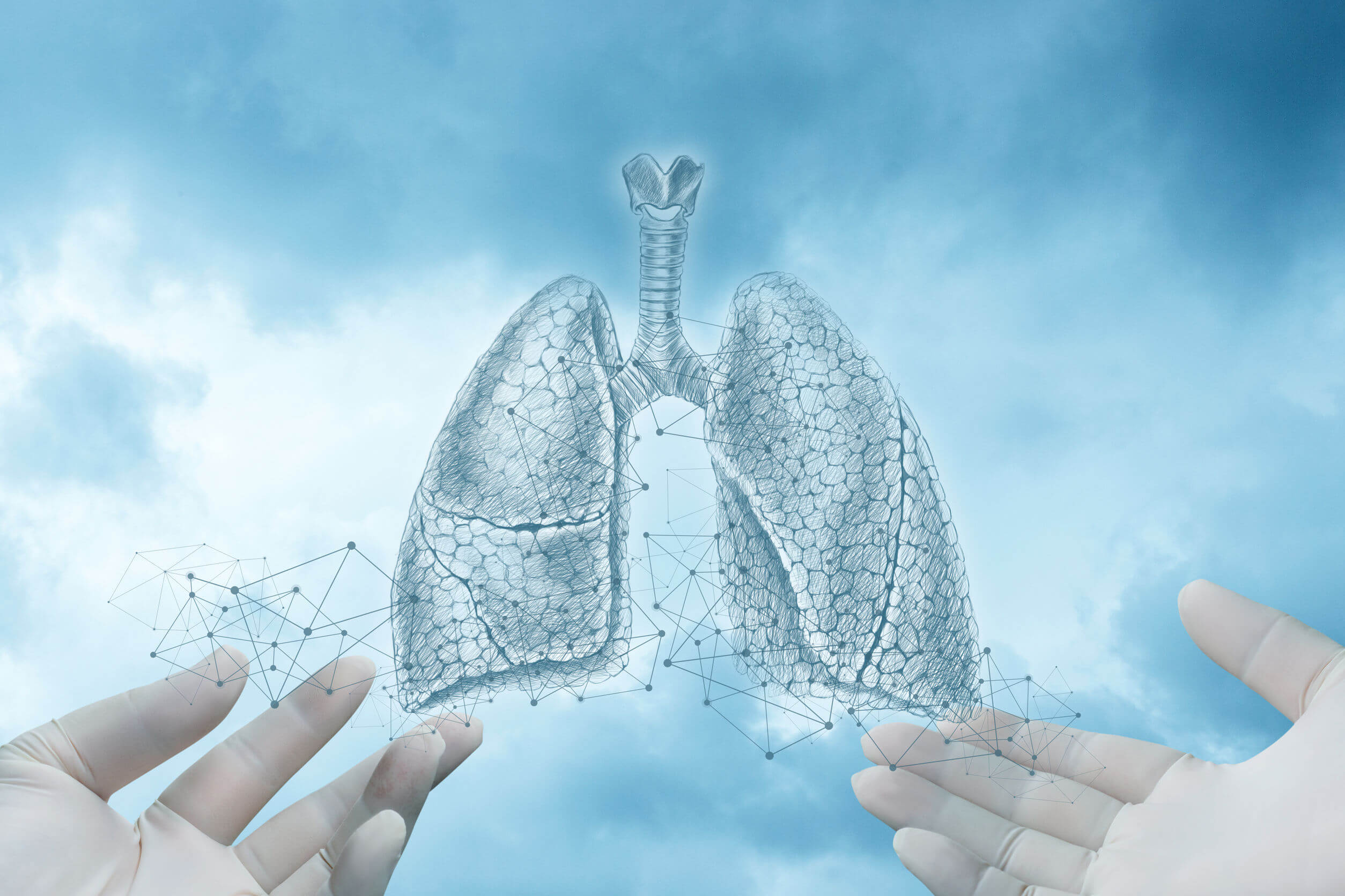 Lo pneumotorace è una malattia del sistema respiratorio.