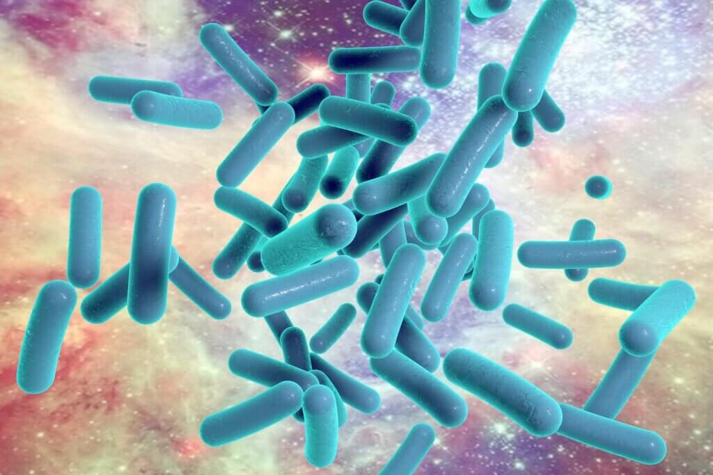Bacterias.