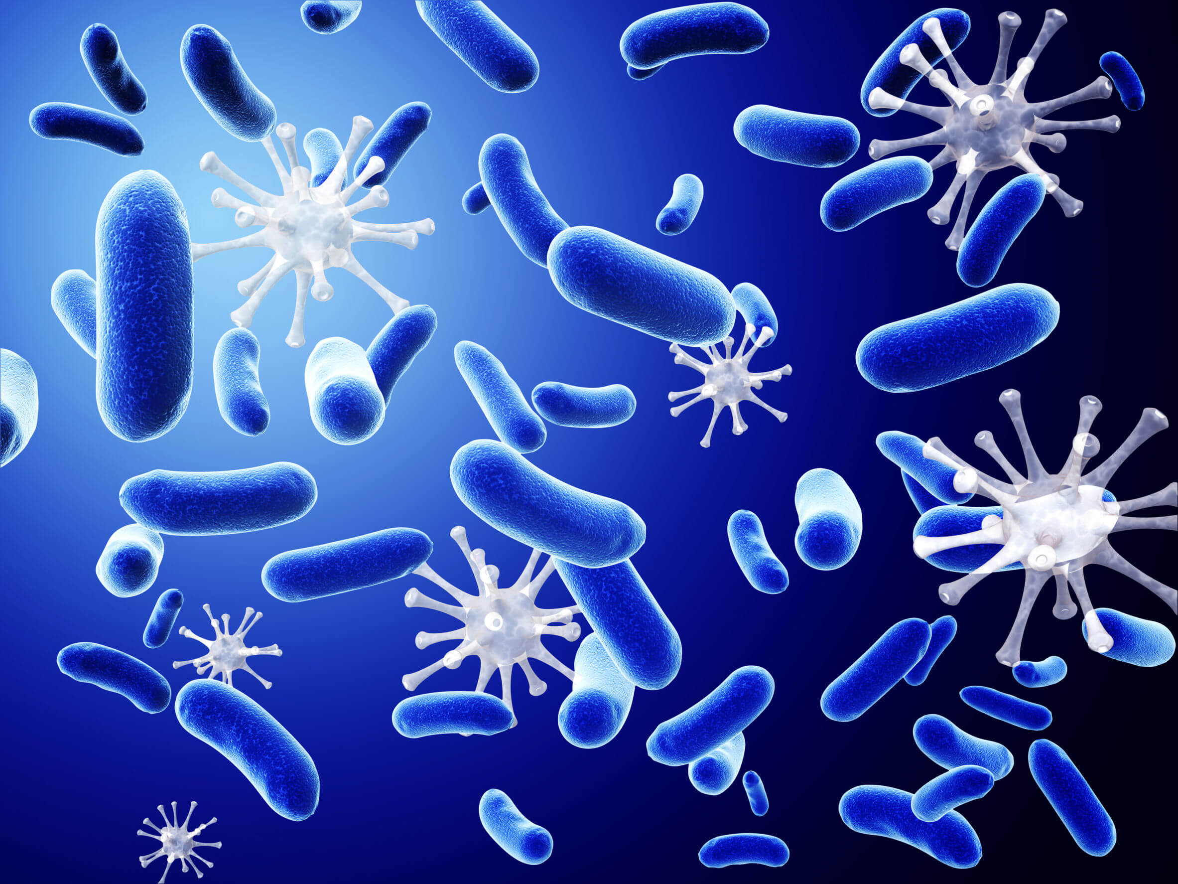 Les cellules Natural Killer sont chargées de protéger le corps contre de multiples infections.
