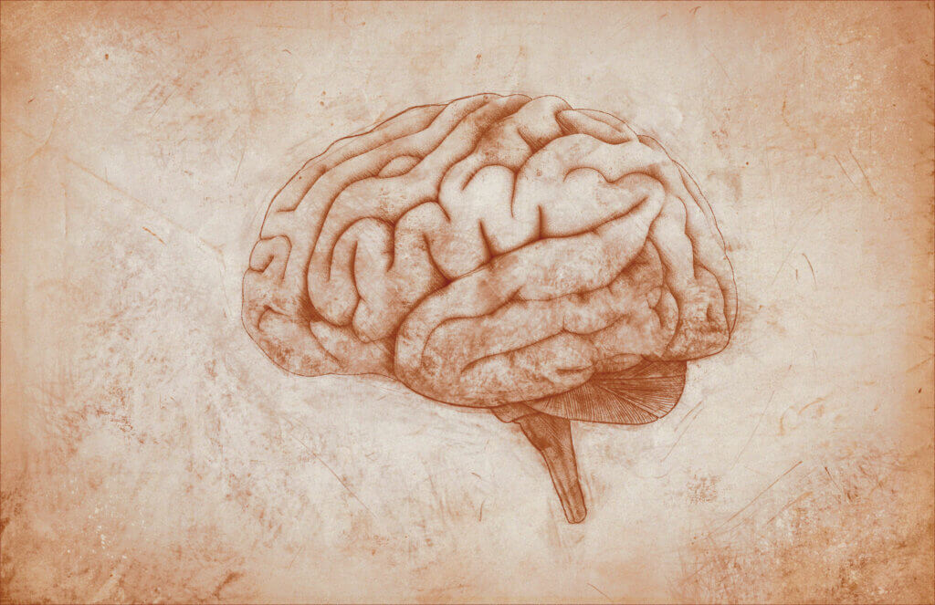 Cerebro en la enfermedad de Alzheimer.