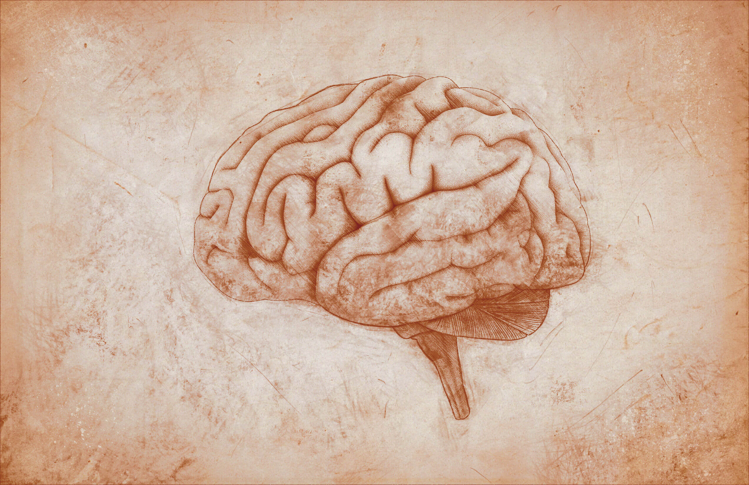 El síndrome amnésico y las lesiones cerebrales.