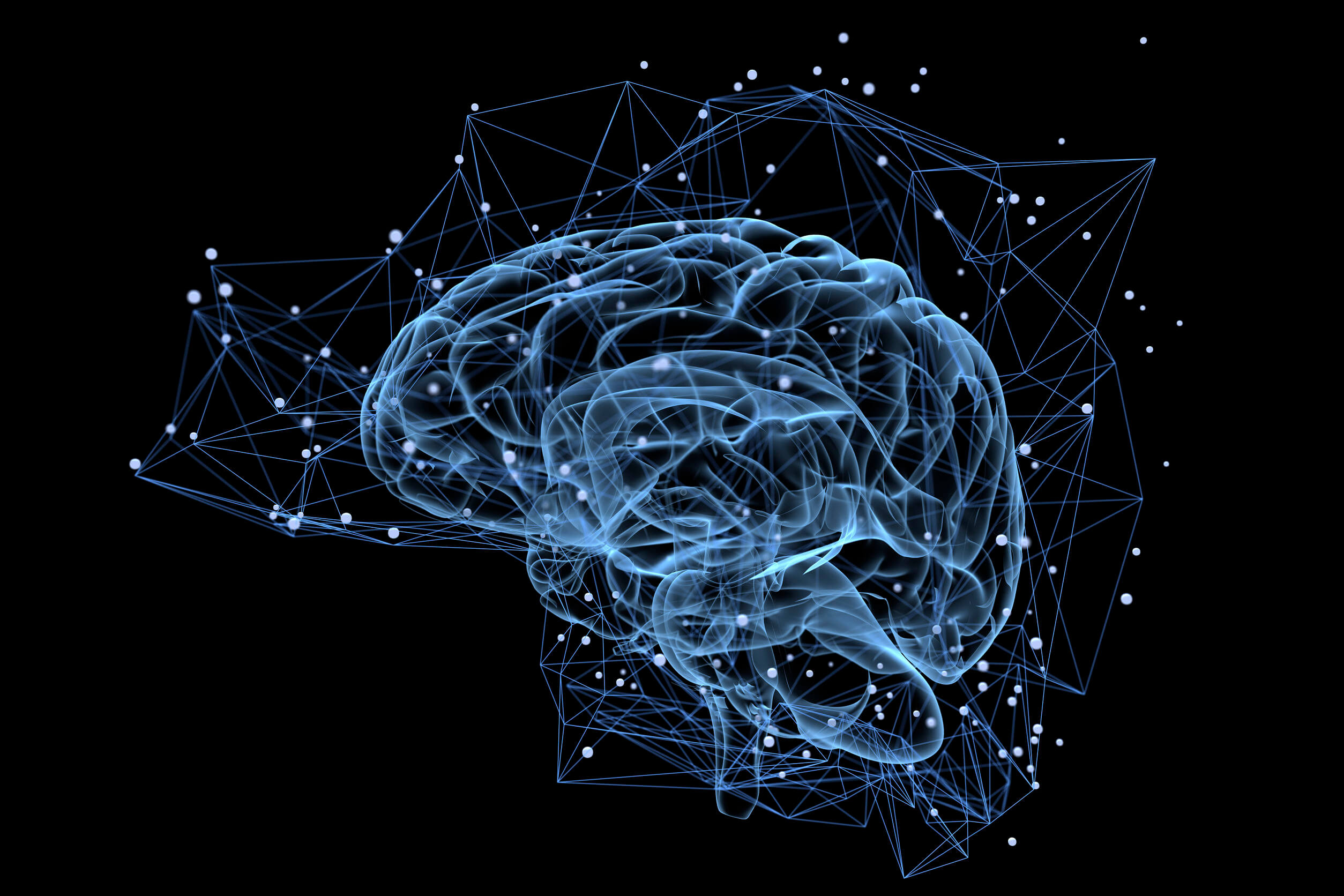I vantaggi dell'essere bilingue sono legati alle connessioni neurali del cervello.