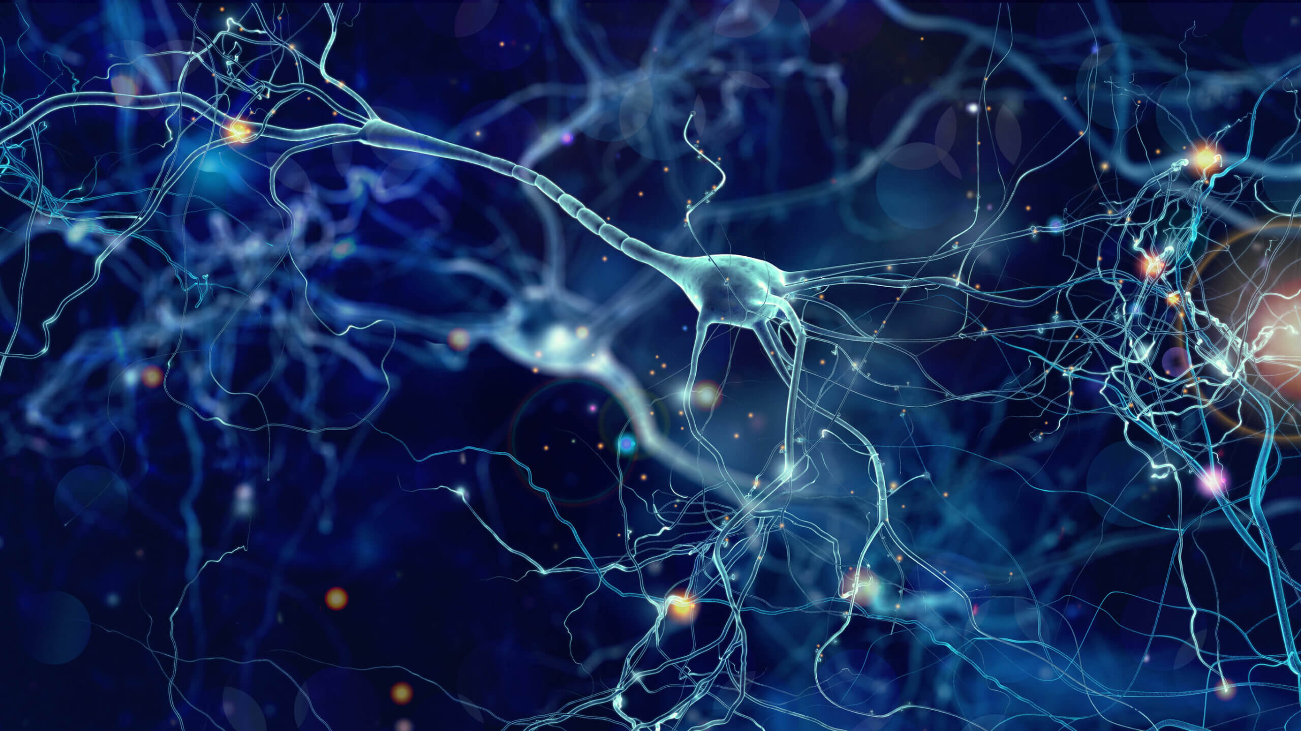 Las diferencias entre alzhéimer y párkinson incluyen la fisiopatología
