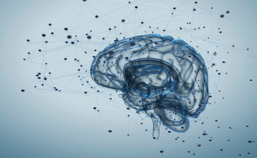 ¿Qué son los neuropéptidos?
