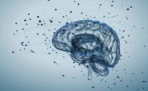 ¿Qué son los neuropéptidos?