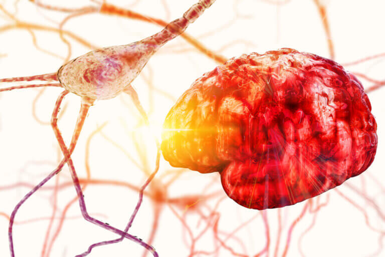 ¿Qué es la plasticidad neuronal?