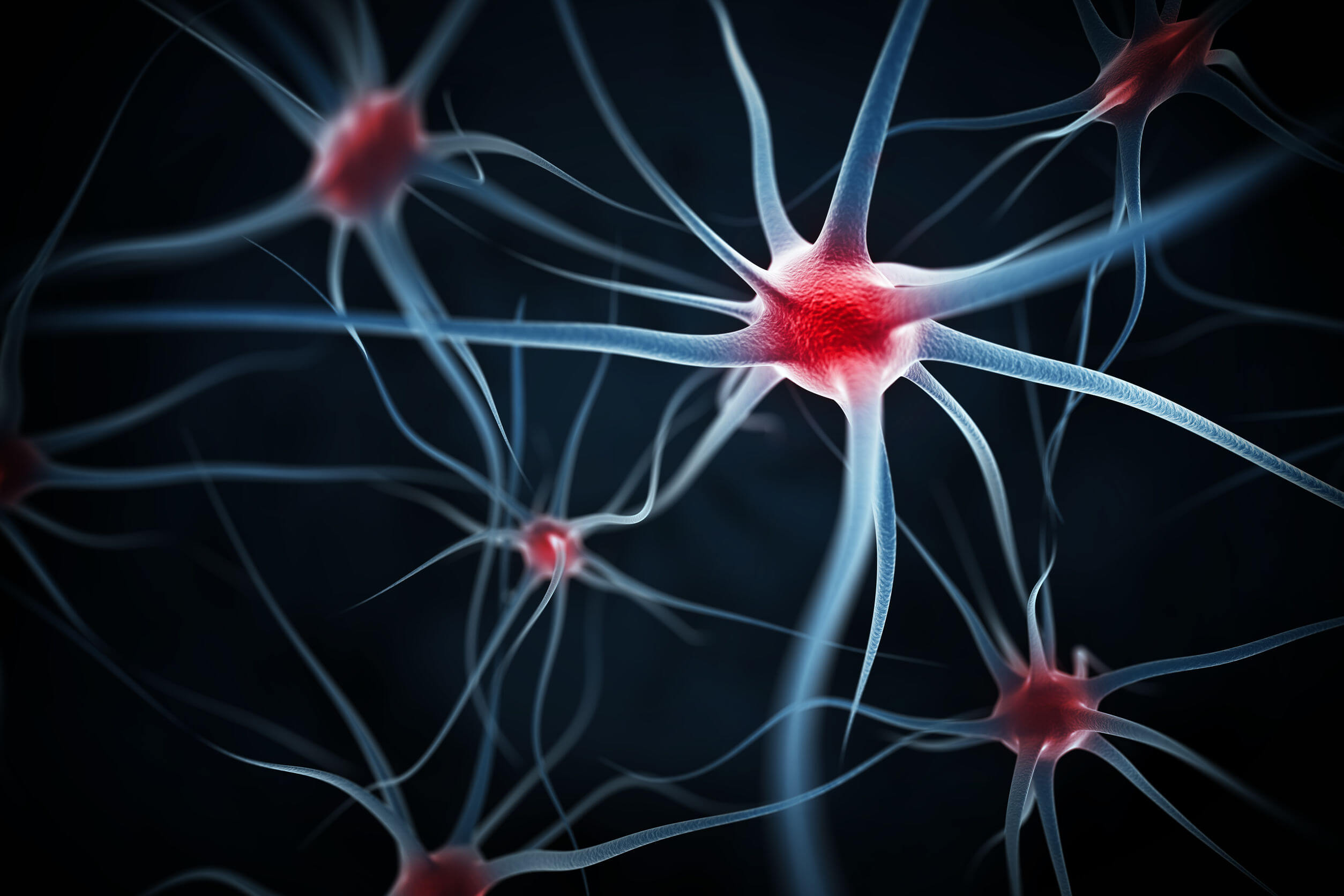 A neuroplasticidade inclui mudanças em vários níveis estruturais.