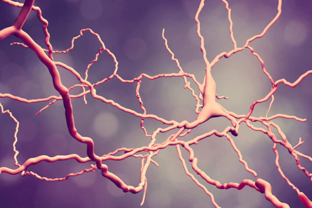 Neuronas en conexión por plasticidad neuronal.