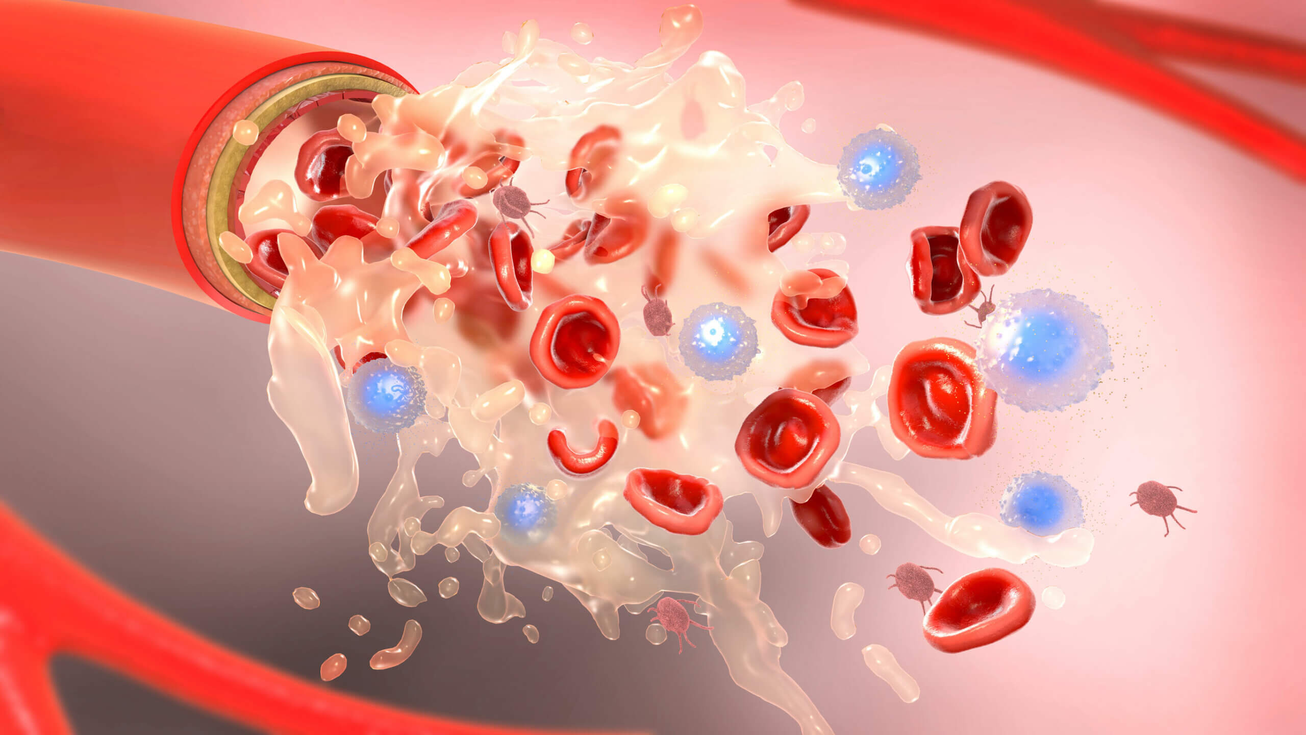 A medição das plaquetas é uma parte essencial do exame de sangue.