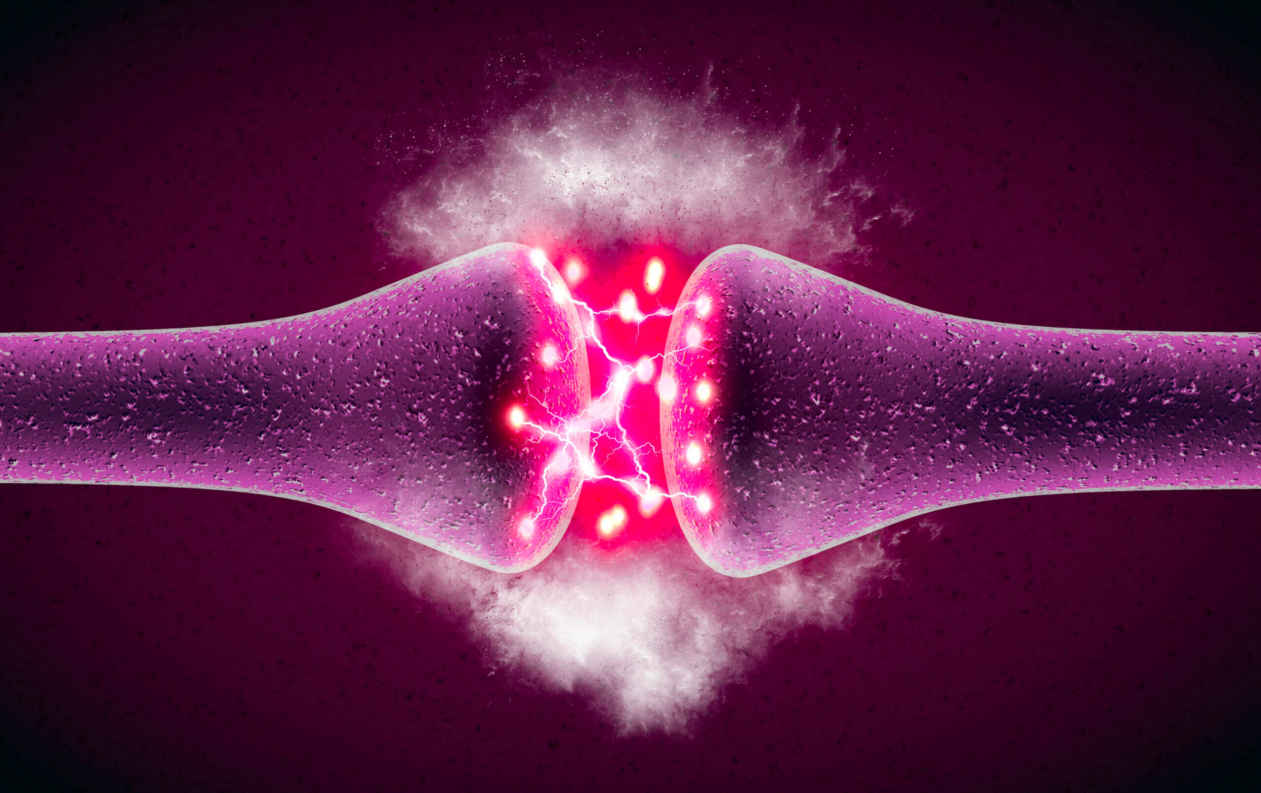 Los neurotransmisores actúan en la sinapsis química.