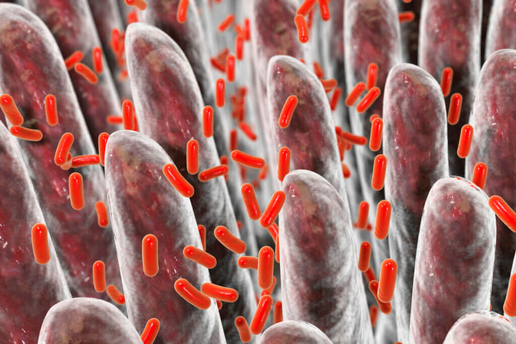 I batteri sono uno dei 6 tipi di germi esistenti..