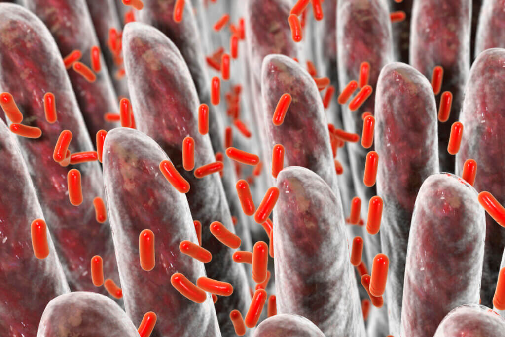 Las bacterias son un tipo de gérmenes.