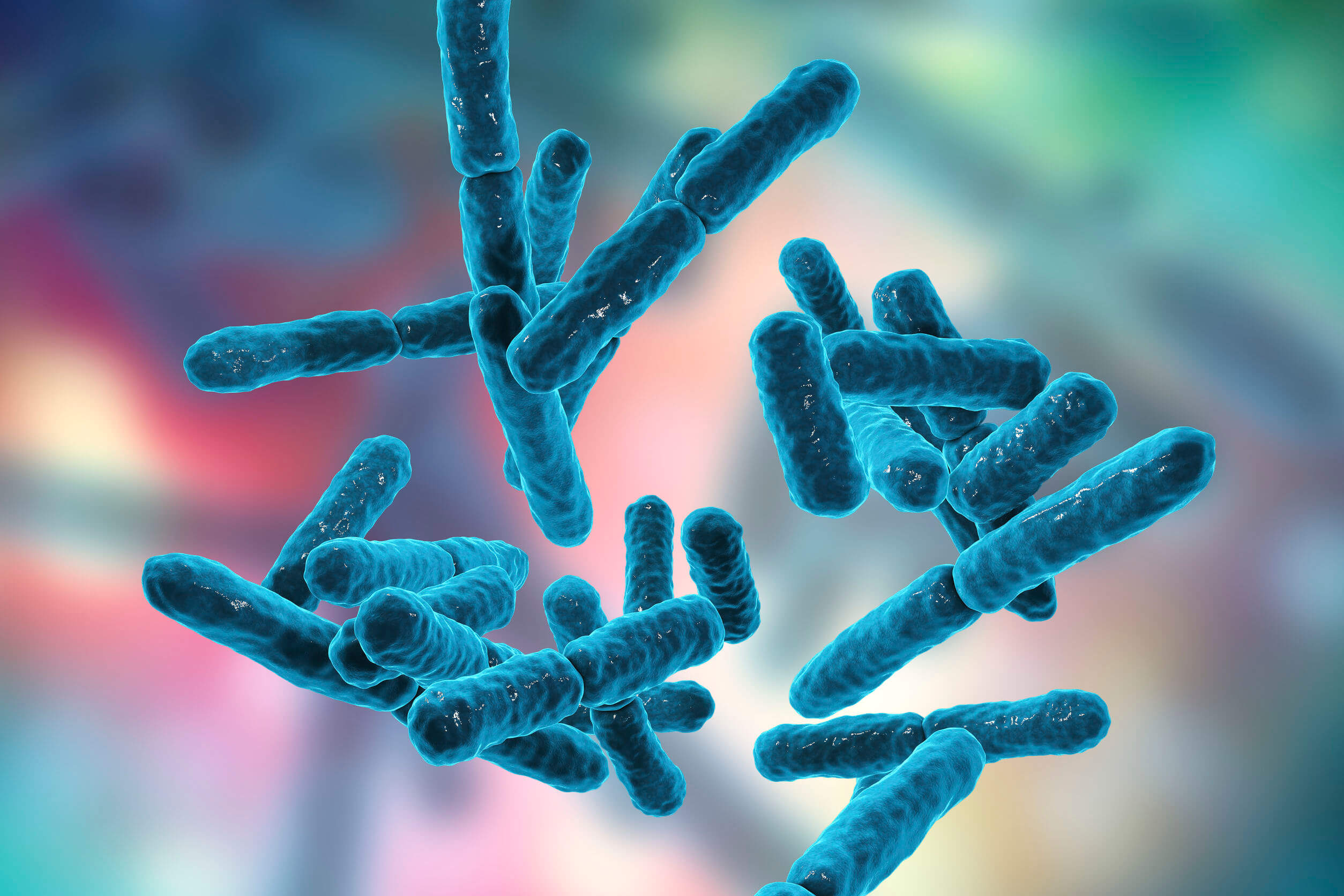 A microbiota protege contra infecções.